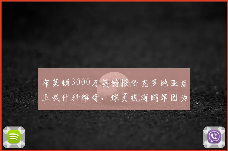 布莱顿3000万英镑报价克罗地亚后卫武什科维奇，球员视海鸥军团为登陆英超跳板